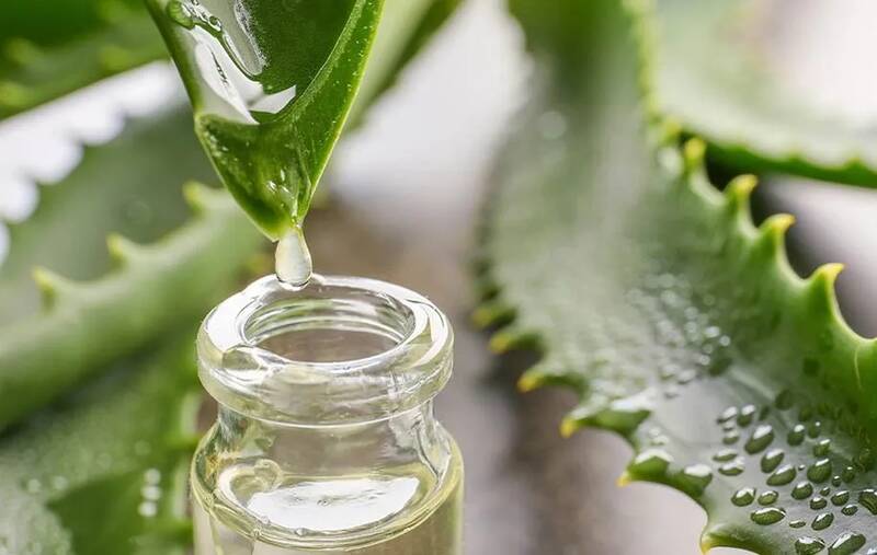 رفع خشکی موهای رنگ شده بوسیله شیوههای خانگی