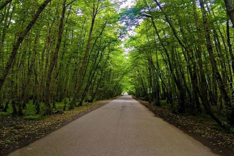 دهکده مریان؛ روستایی که شما را به آرزوهایتان میرساند