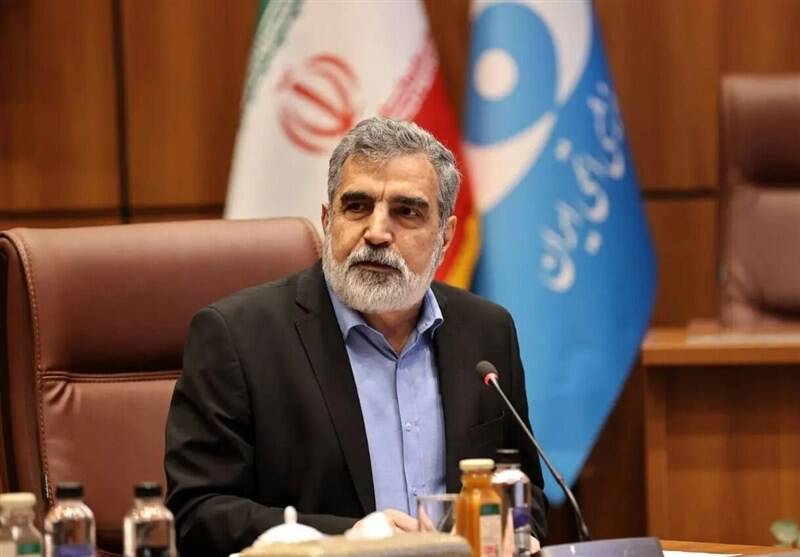 اتمي،روسيه،انرژي،ايران،سازمان،حوزه،ساخت،كشور،دستاوردهاي،آژان ...