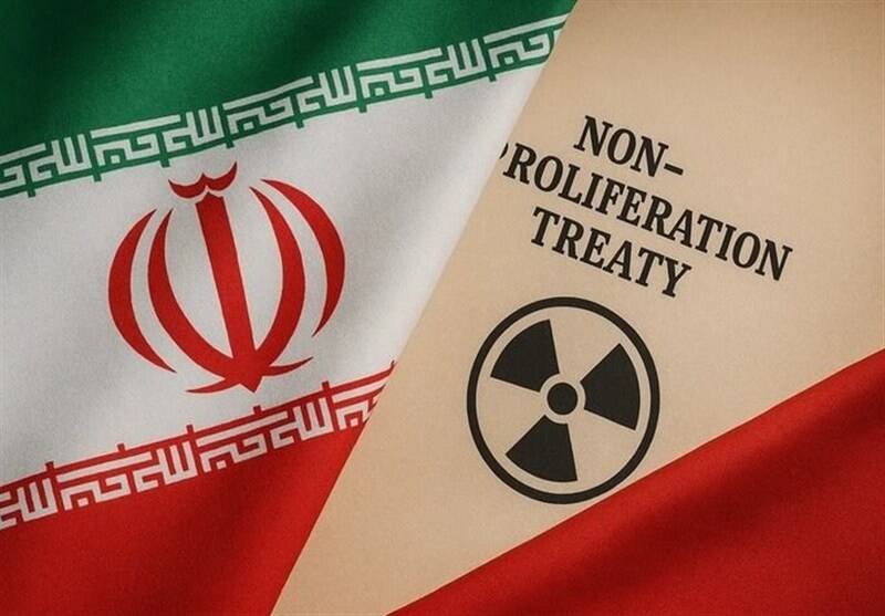 NPT،مجلس،آژانس،ملي،خروج،كميسيون،امنيت،طرح،سخنگوي