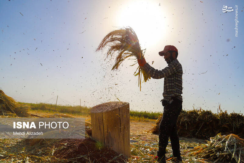 جاروبافی میراثی زنده در روستای «ملاحسن» خراسان شمالی