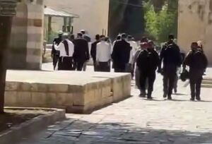 فیلم/ تعرض شهرک‌نشینان به مسجد الاقصی