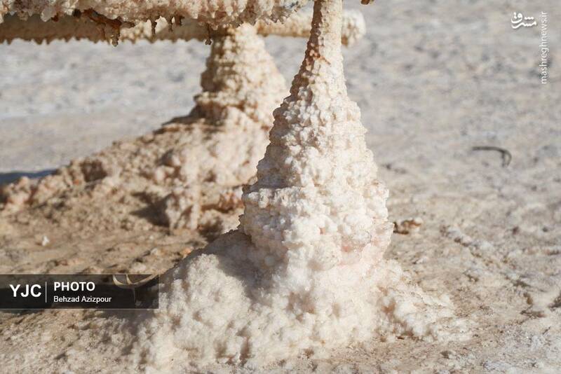 عکس/ نفسهای آخر دریاچه ارومیه