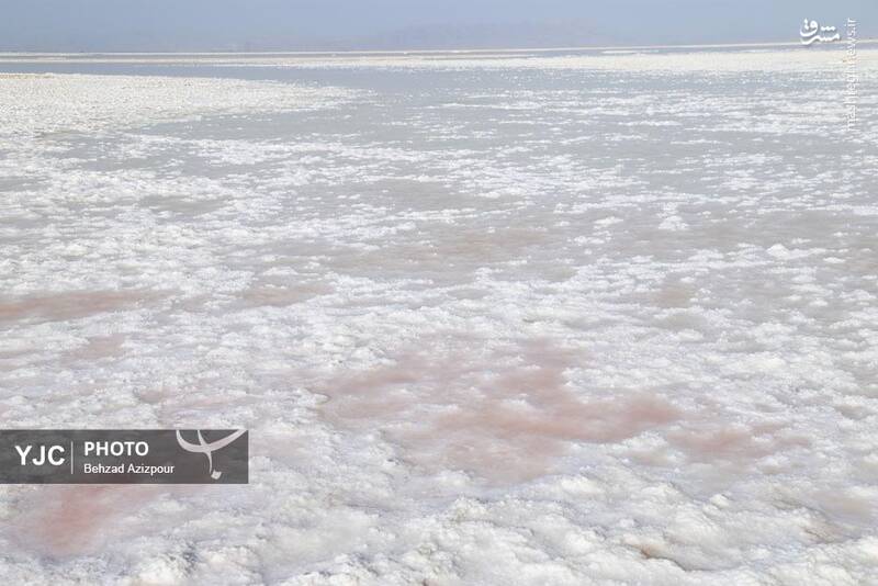 عکس/ نفسهای آخر دریاچه ارومیه