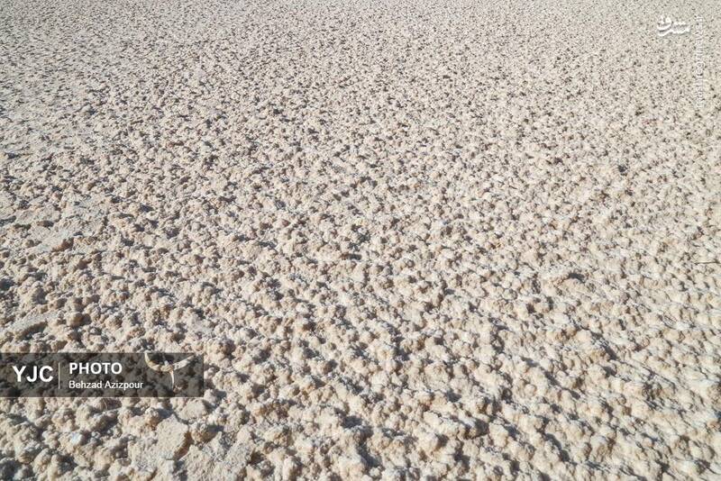 عکس/ نفسهای آخر دریاچه ارومیه