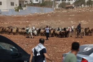 فیلم/ حمله شهرکنشینان اسرائیلی به کشاورزان فلسطینی حملهی شهرکنشینان صهیونیست به ۳ چاه آب در کرانه باختری