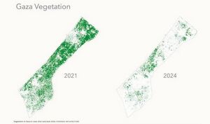 اسرائیل وجود هرگونه نشانه حیات در غزه را نیز تحمل نمی کند
