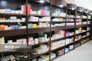 3.3 همت یارانه دارو به حساب سازمانهای بیمهگر پایه درمان واریز شد