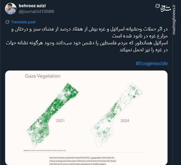 اسرائیل وجود هرگونه نشانه حیات در غزه را نیز تحمل نمی کند