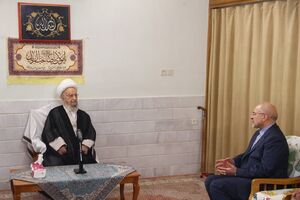 قالیباف: باتصویب مجلس زمین برای ساخت مسکن باید در اختیار مردم قرار گیرد