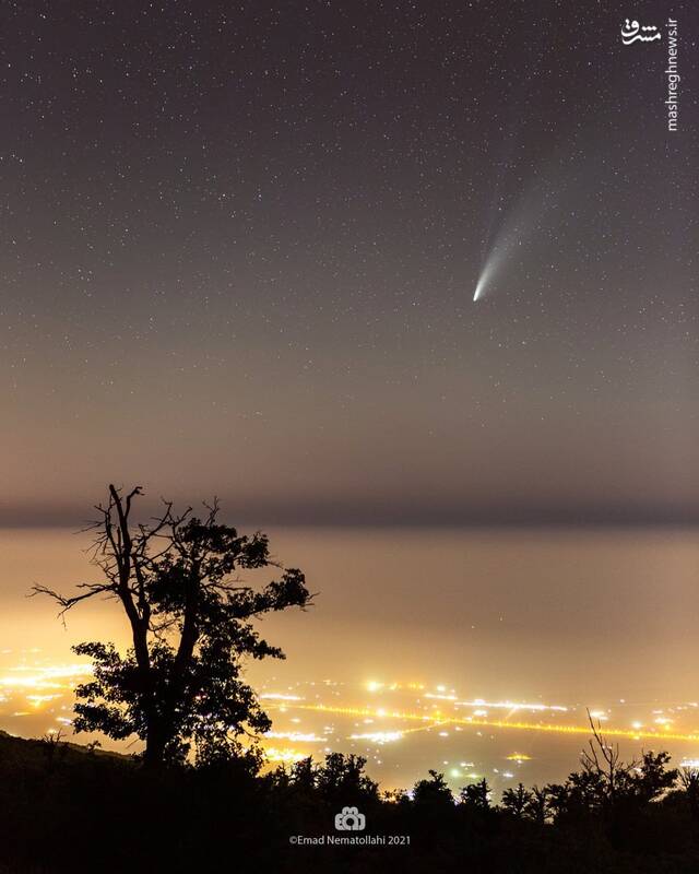 منتشر