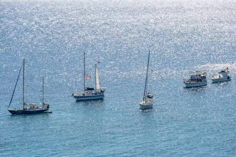 ناوگان،وزير،غزه،بازداشت،شهروندان