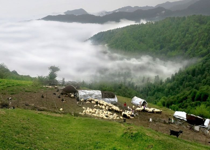 ماسال؛ شهر مه و ویلاهای جنگلی: راهنمای کامل اقامت