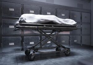 رسوایی جدید ارتش اسرائیل؛ جسد دزدی به ایالات متحده رسید