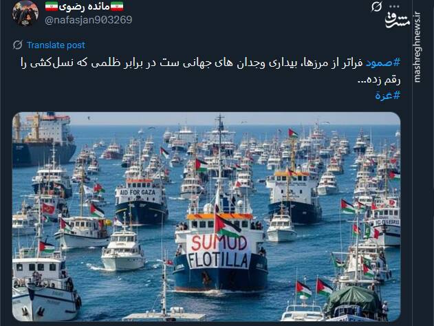 صمود؛ نماد زنده‌بودن وجدان انسانی