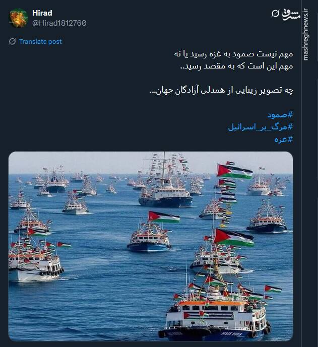 صمود؛ نماد زنده‌بودن وجدان انسانی