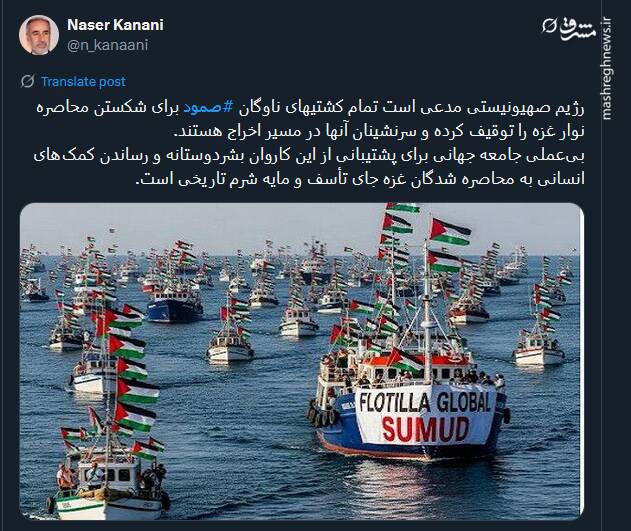 صمود؛ نماد زنده‌بودن وجدان انسانی