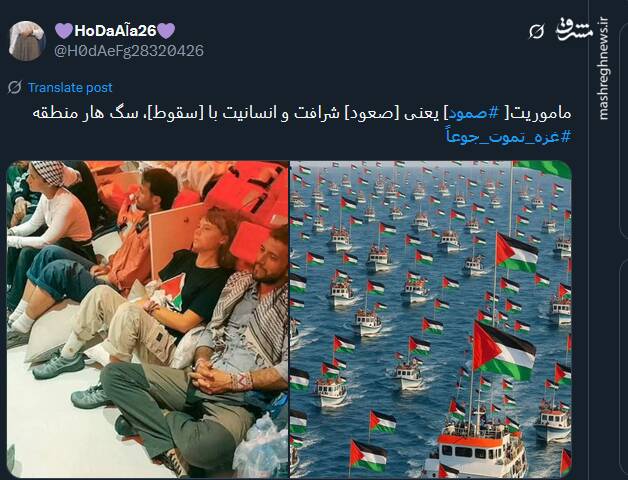صمود؛ نماد زنده‌بودن وجدان انسانی