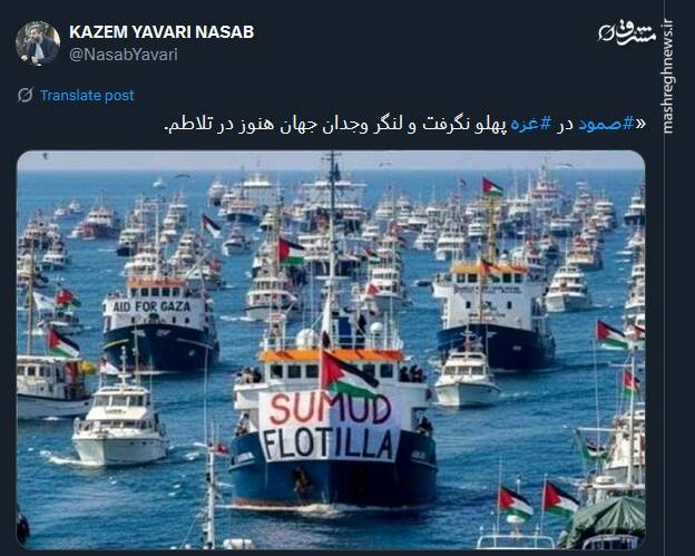 صمود؛ نماد زنده‌بودن وجدان انسانی