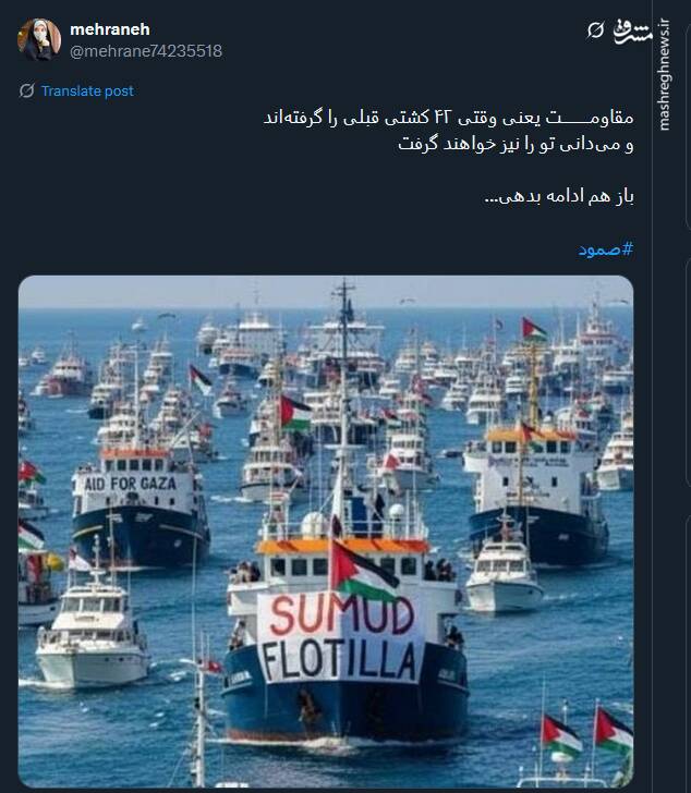 صمود؛ نماد زنده‌بودن وجدان انسانی