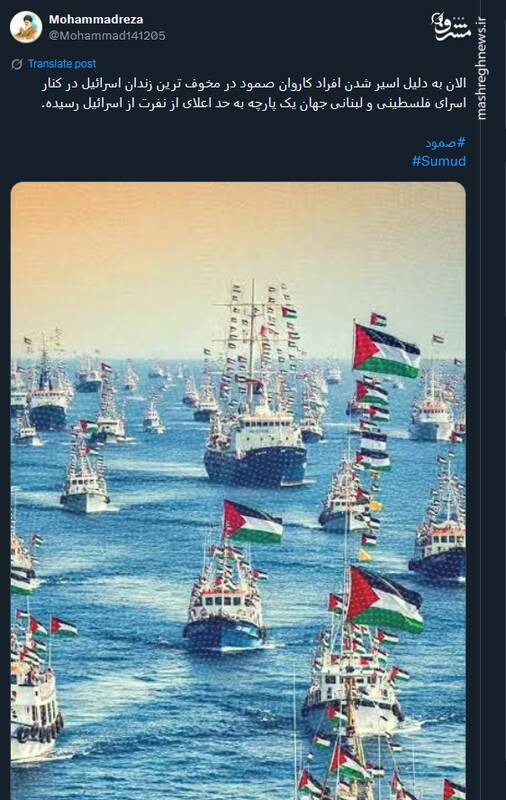 صمود؛ نماد زنده‌بودن وجدان انسانی