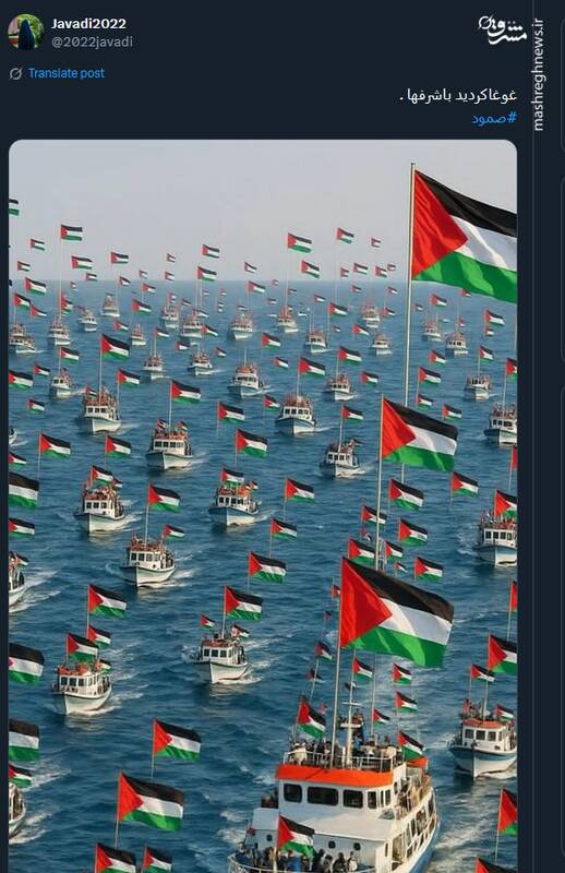 صمود؛ نماد زنده‌بودن وجدان انسانی