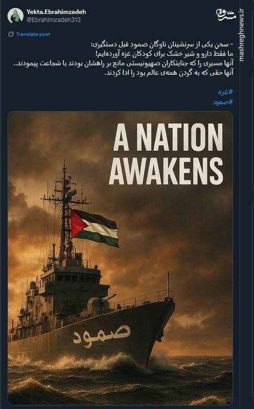 طرحها و پوسترهای منتشر شده در حمایت از کاروان صمود