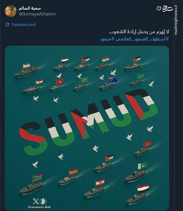 طرحها و پوسترهای منتشر شده در حمایت از کاروان صمود