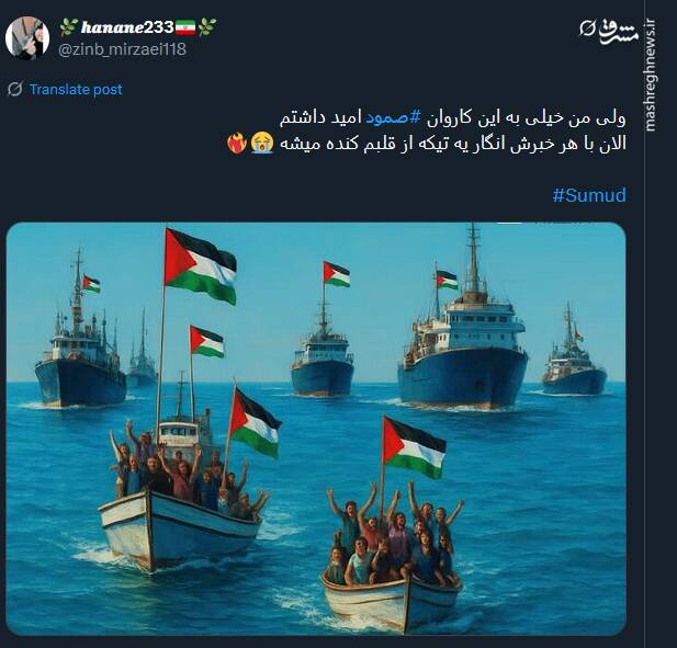 طرحها و پوسترهای منتشر شده در حمایت از کاروان صمود