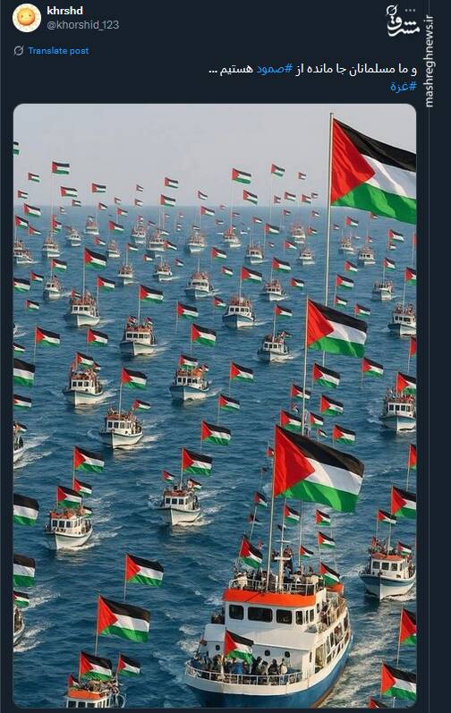 طرحها و پوسترهای منتشر شده در حمایت از کاروان صمود