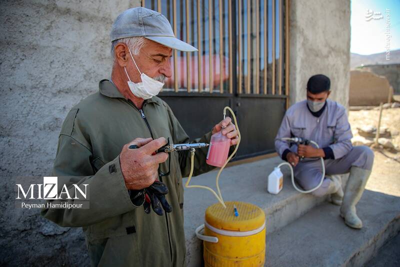 عکس / واکسیناسیون دام در روستاهای خراسان شمالی 5