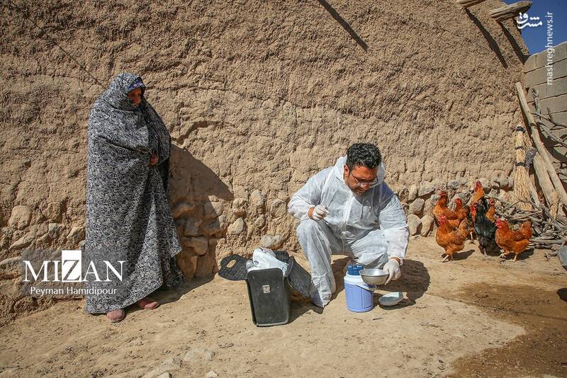 عکس / واکسیناسیون دام در روستاهای خراسان شمالی 27