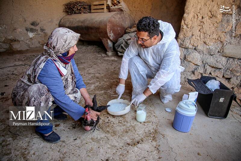عکس / واکسیناسیون دام در روستاهای خراسان شمالی 9