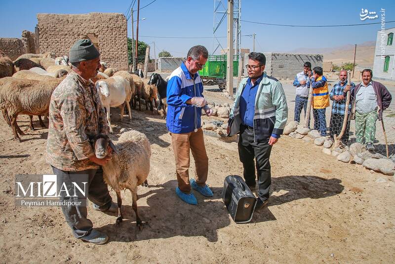 عکس / واکسیناسیون دام در روستاهای خراسان شمالی 6