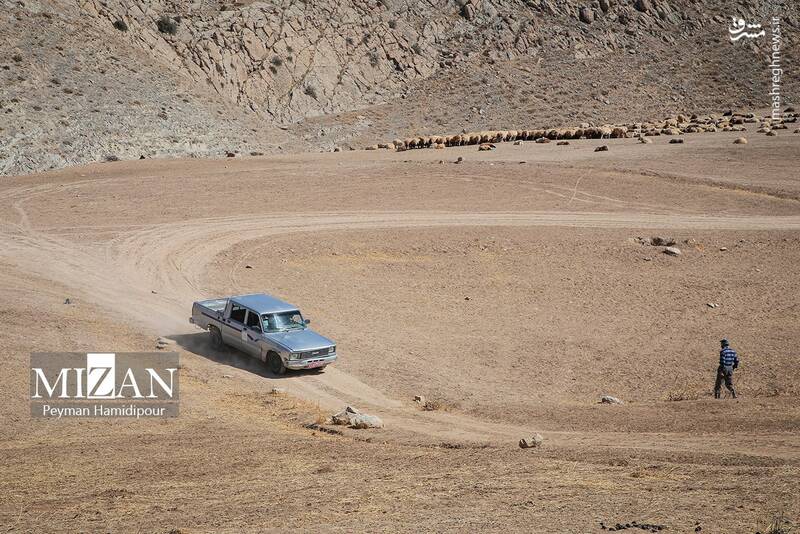 عکس / واکسیناسیون دام در روستاهای خراسان شمالی 4