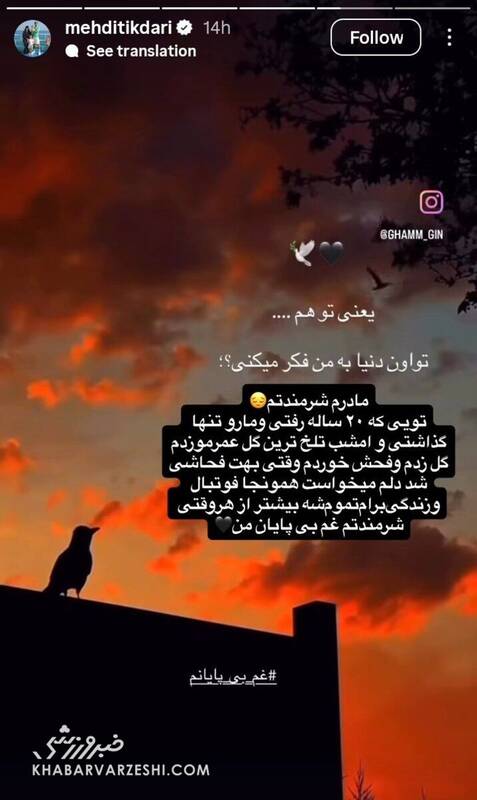 شرمندتم غم بی پایان من؛ واکنش تیکدری به فحاشی به مادرش + عکس
