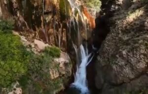 فیلم/ زیبای بی‌انتها در پونه‌زار اصفهان