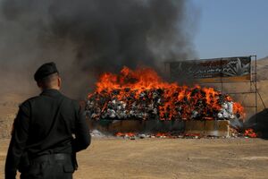 عکس/ انهدام ۸ تن مواد مخدر در البرز