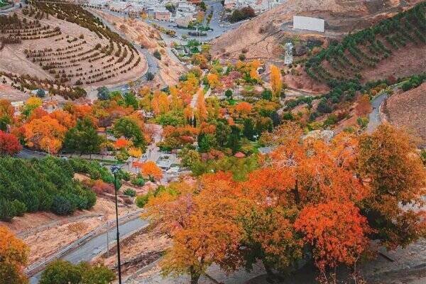 ۷ دمنوش برای تقویت سیستم ایمنی و رفع خستگی