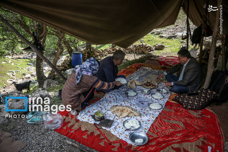عکس / "زندگی عشایری" 16