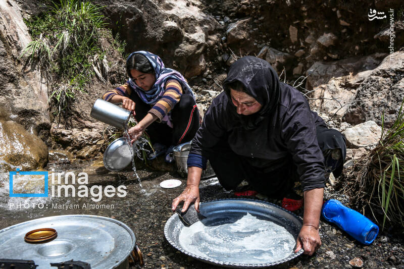 عکس / "زندگی عشایری" 15