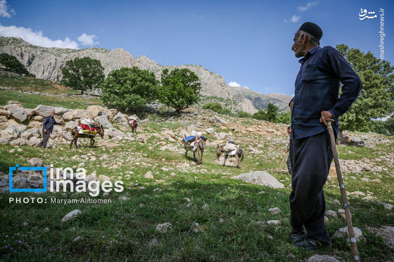 عکس / "زندگی عشایری" 10