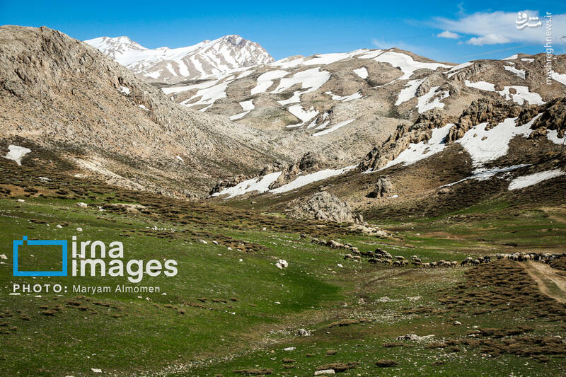 عکس / "زندگی عشایری"
