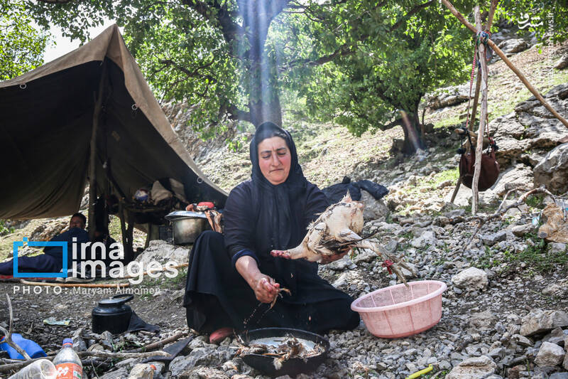 عکس / "زندگی عشایری" 2