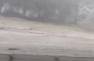 فیلم / مه غلیظ در جاده برازجان بوشهر