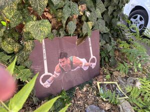 ورود مجلس به ماجرای «بیاحترامی» به قهرمان ژیمناستیک