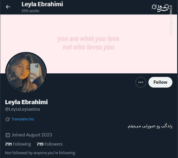شبکه مشترک پرستوهای موساد و سلطنتطلبان برای عملیات «فرار از زندان»/ نام رمز جنگ سایبری اسرائیل علیه ایران چه بود؟ + تصاویر 45
