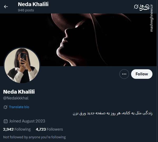 شبکه مشترک پرستوهای موساد و سلطنتطلبان برای عملیات «فرار از زندان»/ نام رمز جنگ سایبری اسرائیل علیه ایران چه بود؟ + تصاویر 52