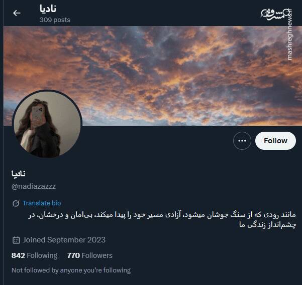 شبکه مشترک پرستوهای موساد و سلطنتطلبان برای عملیات «فرار از زندان»/ نام رمز جنگ سایبری اسرائیل علیه ایران چه بود؟ + تصاویر 51