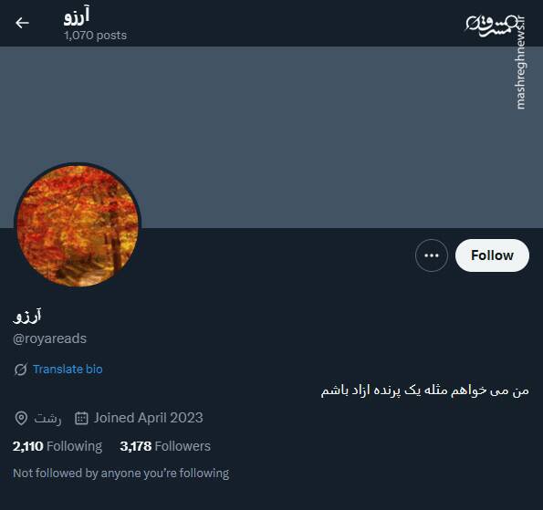 شبکه مشترک پرستوهای موساد و سلطنتطلبان برای عملیات «فرار از زندان»/ نام رمز جنگ سایبری اسرائیل علیه ایران چه بود؟ + تصاویر 61